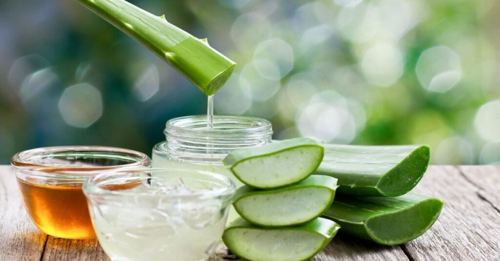 Para Qué Sirve el Aloe Vera Tomado: Beneficios, Propiedades y Cómo Aprovecharlo