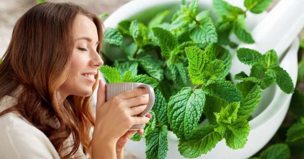 Infusión de poleo menta fresca en taza saludable, con hojas verdes al fondo